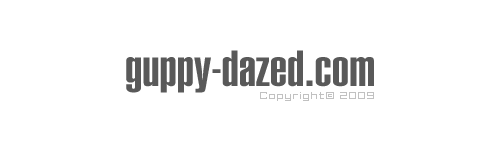guppy-dazed.com